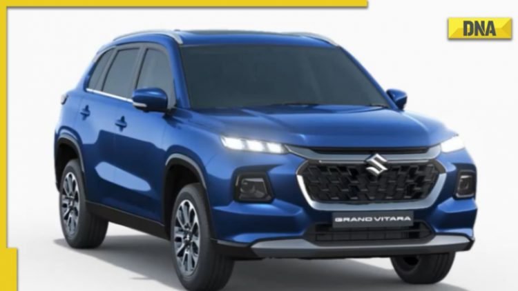 Suzuki Grand Vitara. (dnaindia.com)