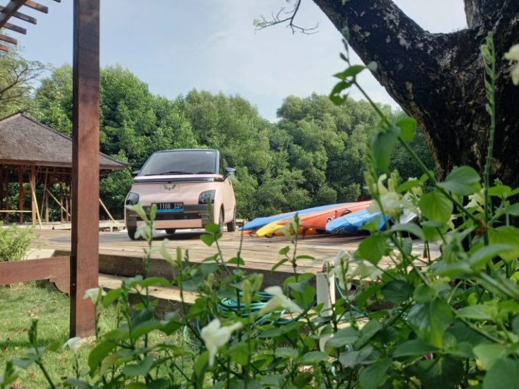 Wuling Air EV. (ist)