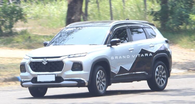 Suzuki Grand Vitara. (ist)