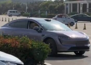 Cina Bersatu Lawan Tesla, Ini Barangnya