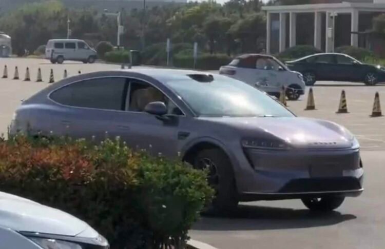 Spy shot Luxeed S9. (carnewschina.com)