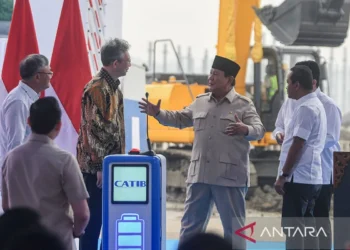 Karawang Digoyang CATL, Pabrik Baterai US$ 1,2 Miliar Dibangun